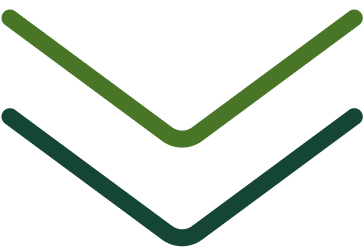 Downward-pointing arrow icon