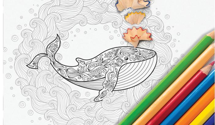 Coloring Book