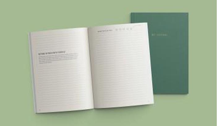 Progress Journal